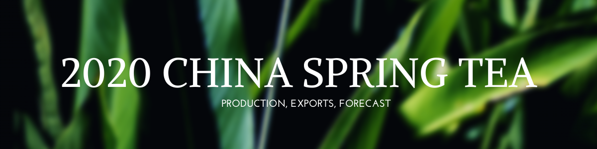 2020 China Spring Tea Production Summary - Firsd Tea